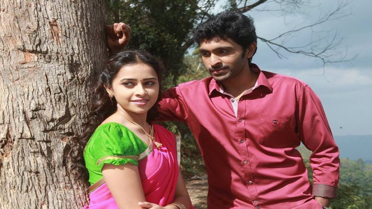 Vellaikaara Durai