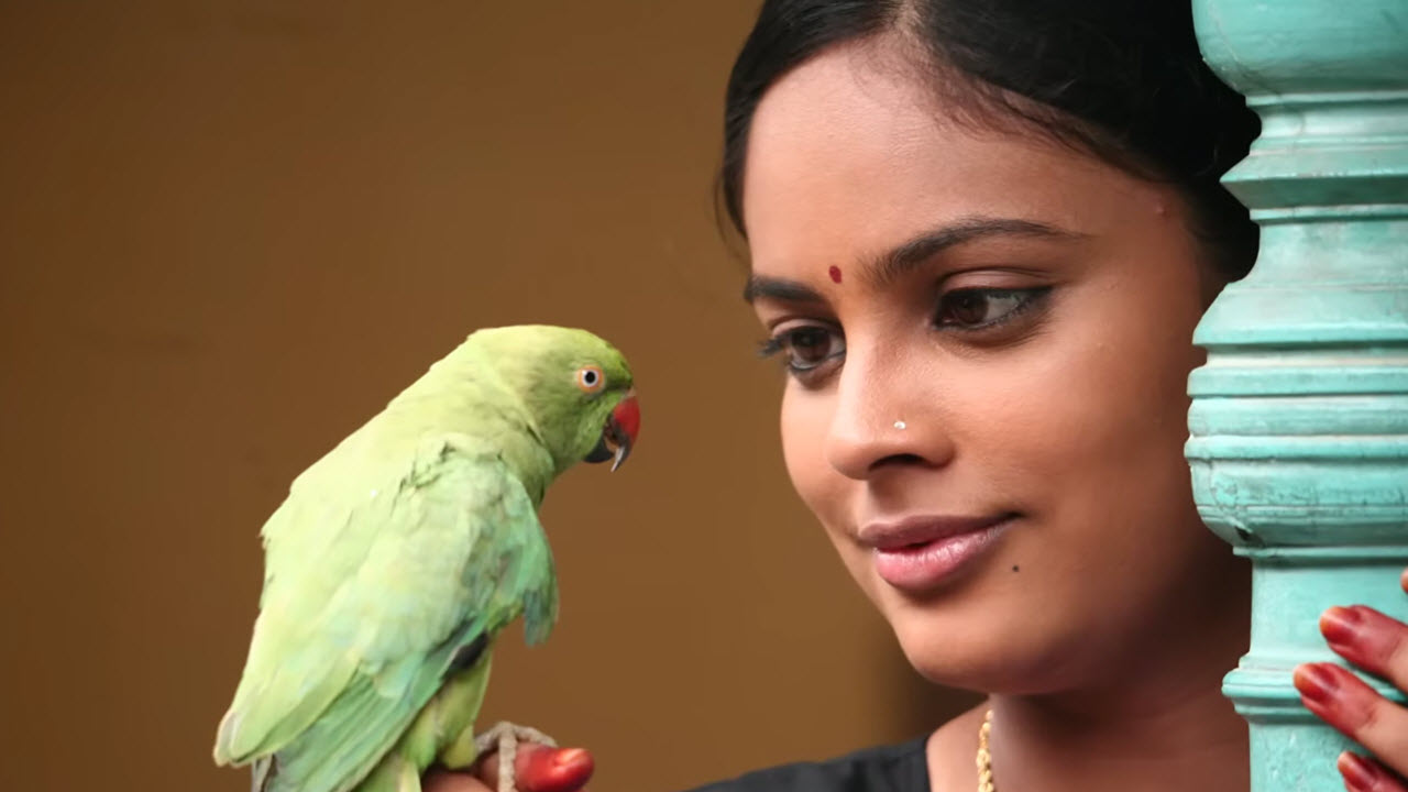 Idhu Enna Lyrics in Tamil